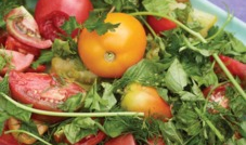 14分钟吃瓜爆料,揭秘娱乐圈惊人内幕